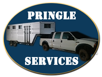 Pringle Horsebox and Trailer Services